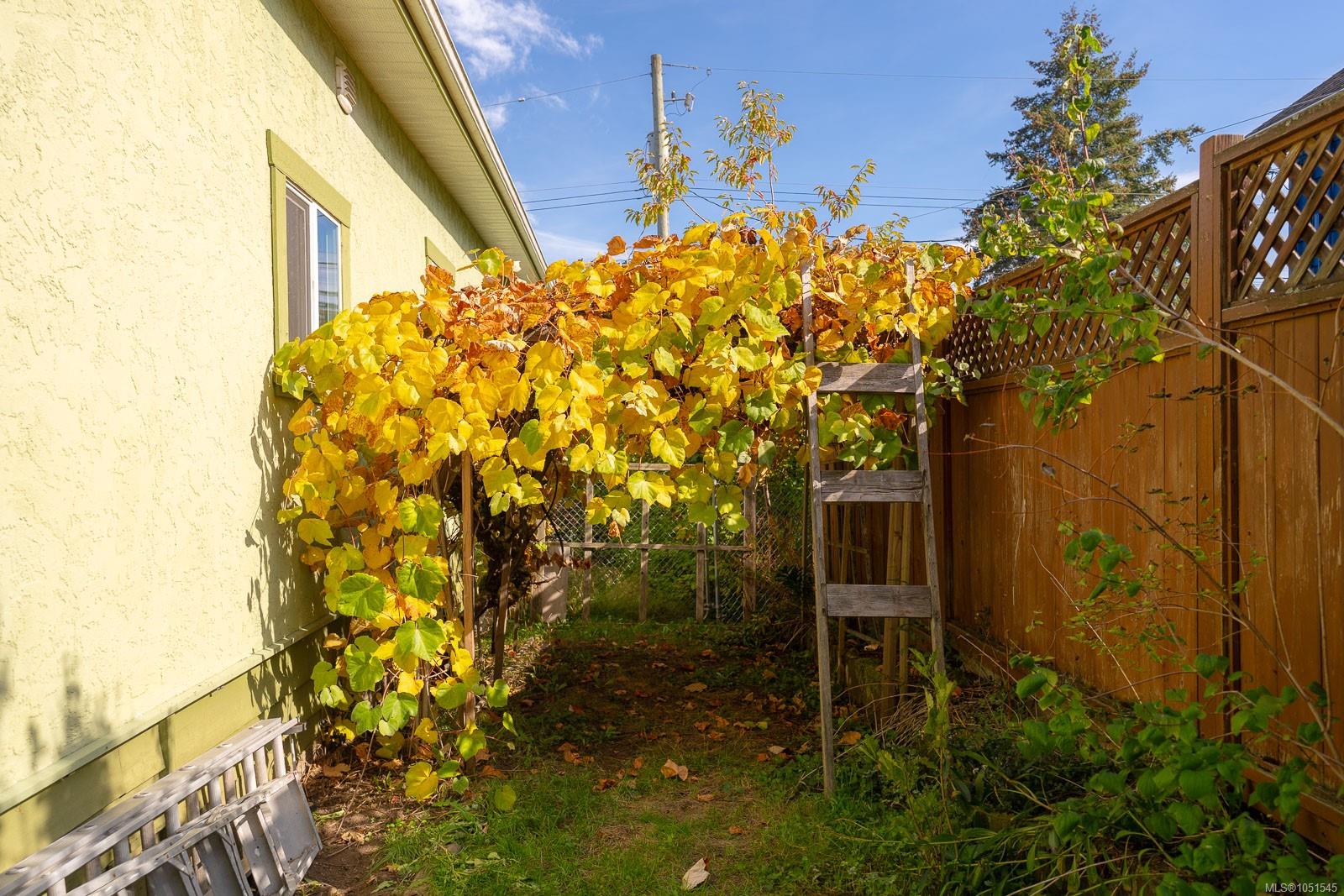 Photo 39