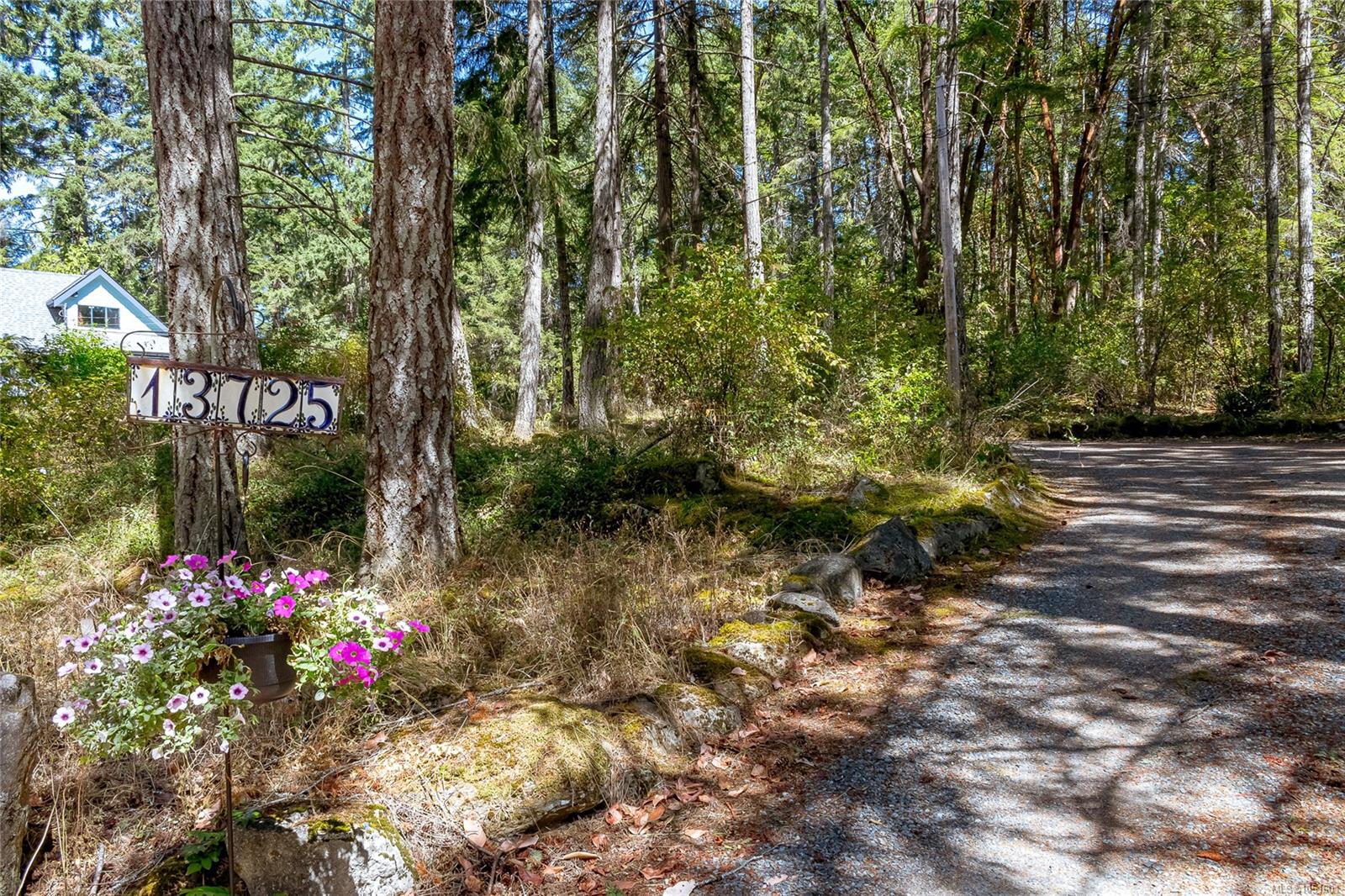 13725 Jennifer Rd — listing photo 4 of 47