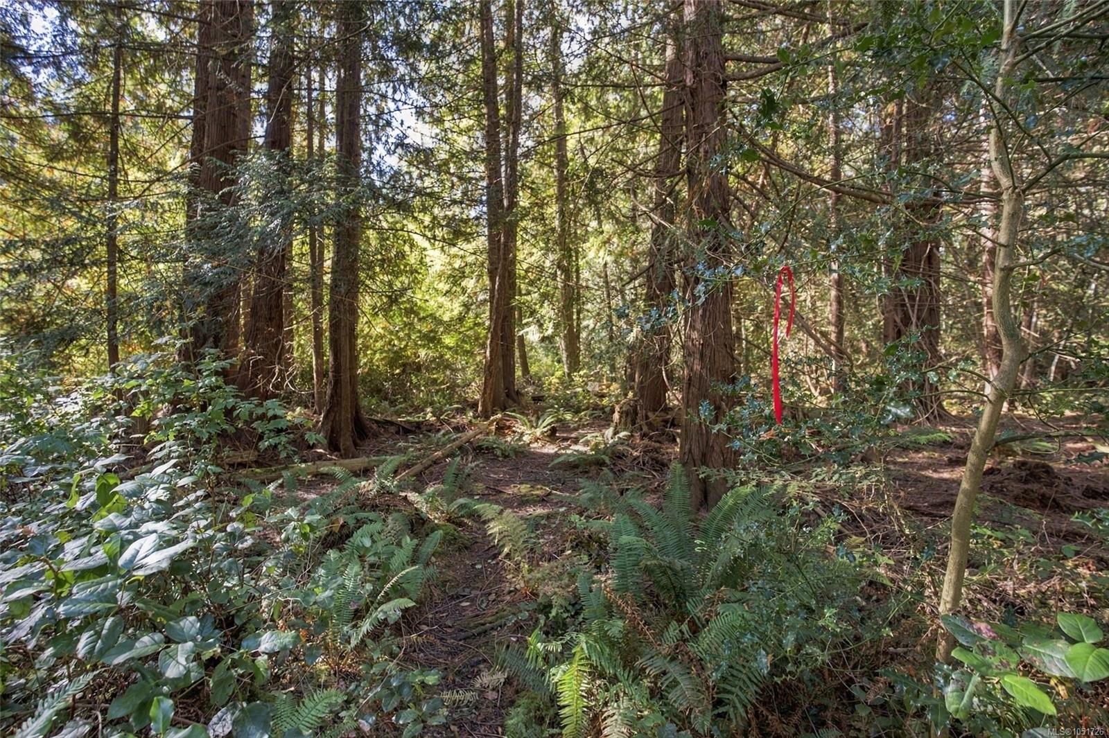 Lot B-2059 Sherritt Dr — listing photo 9 of 27