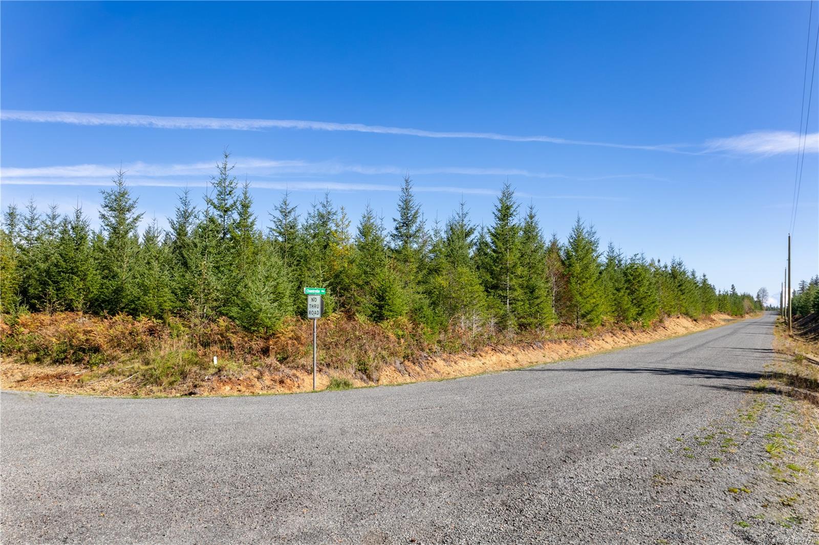 Chantrelle Way — listing photo 12 of 16