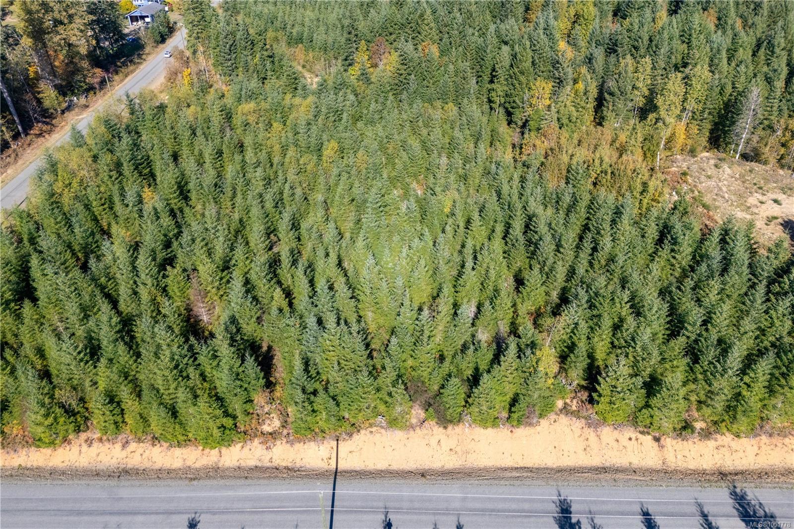 Chantrelle Way — listing photo 13 of 16