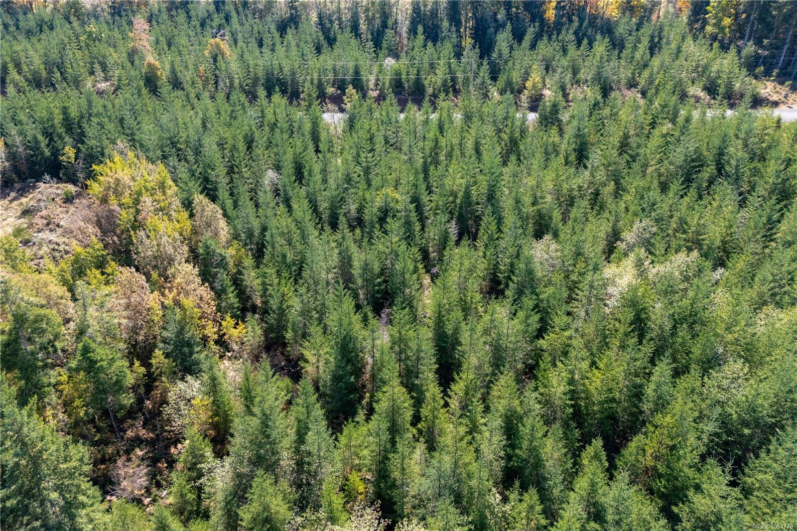 Chantrelle Way — listing photo 14 of 16
