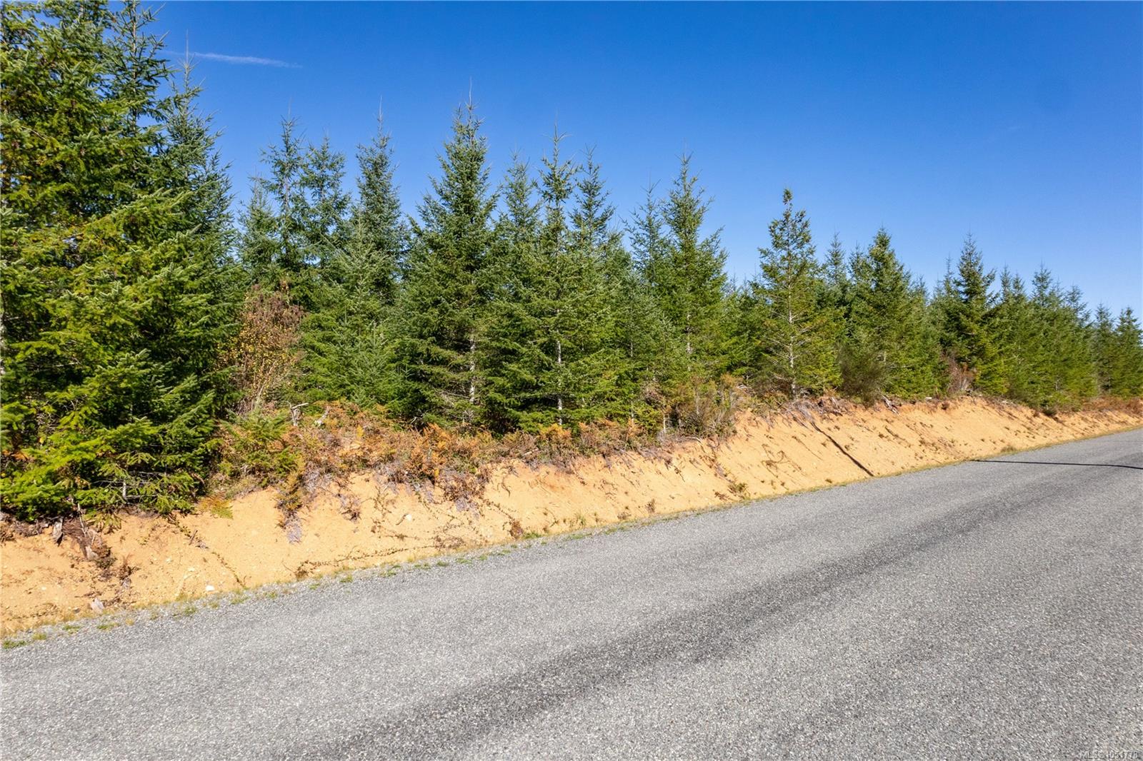 Chantrelle Way — listing photo 3 of 16