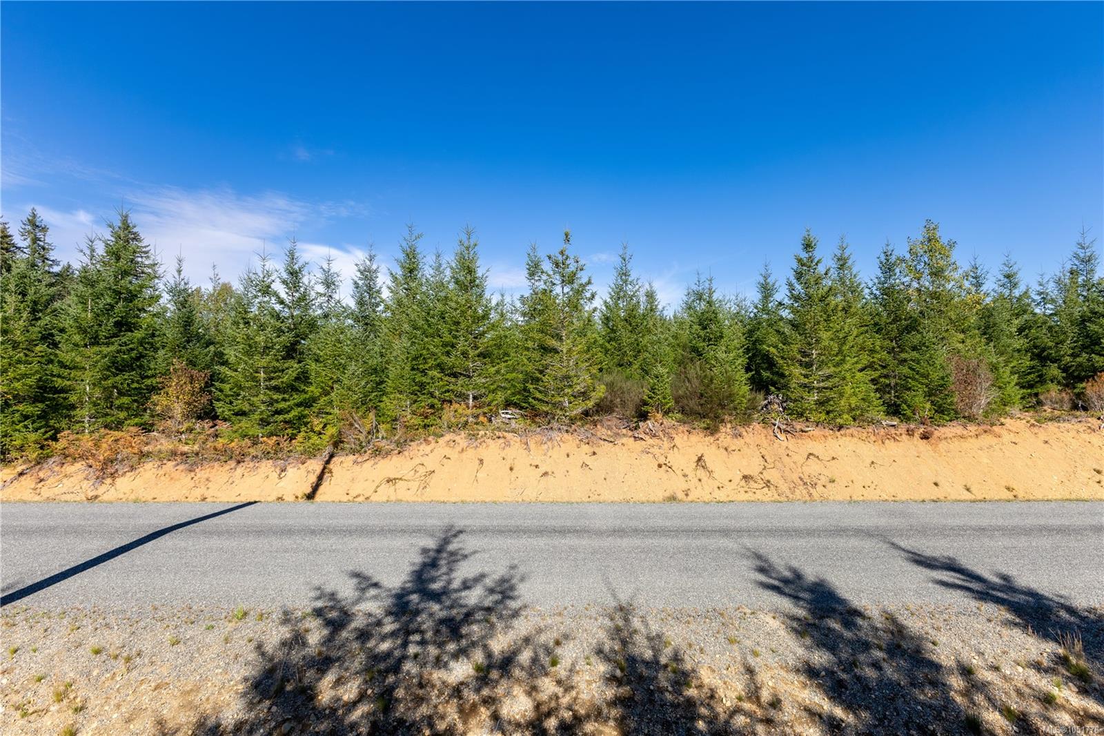 Chantrelle Way — listing photo 4 of 16