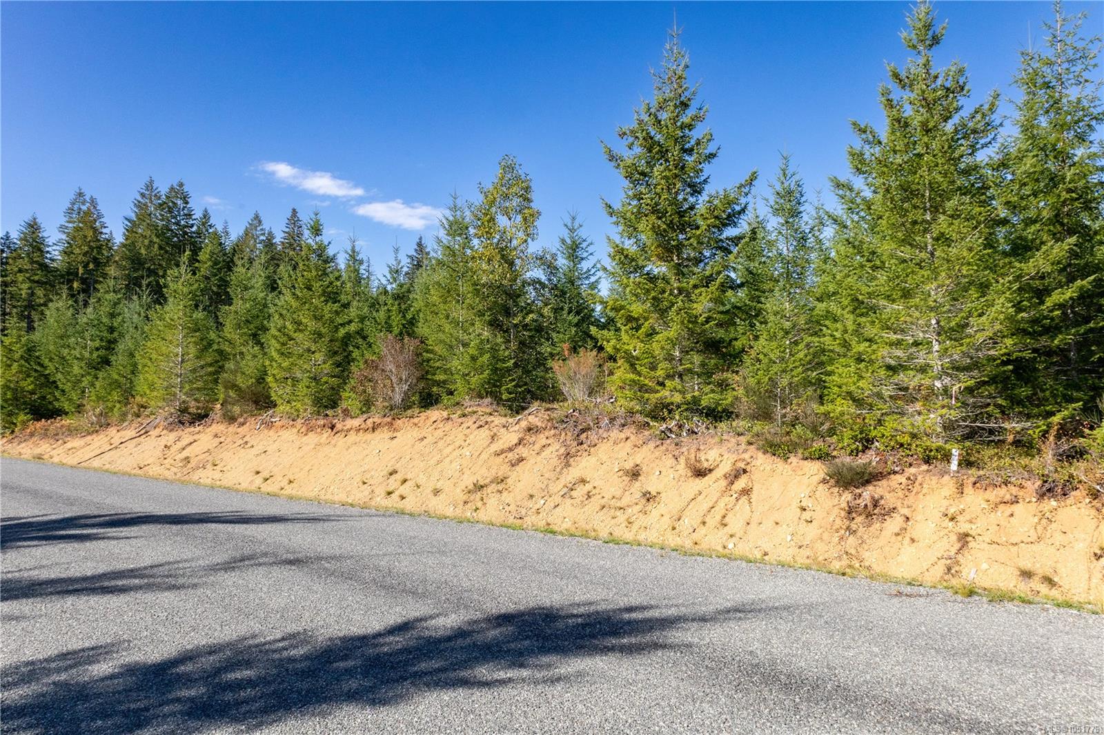 Chantrelle Way — listing photo 5 of 16