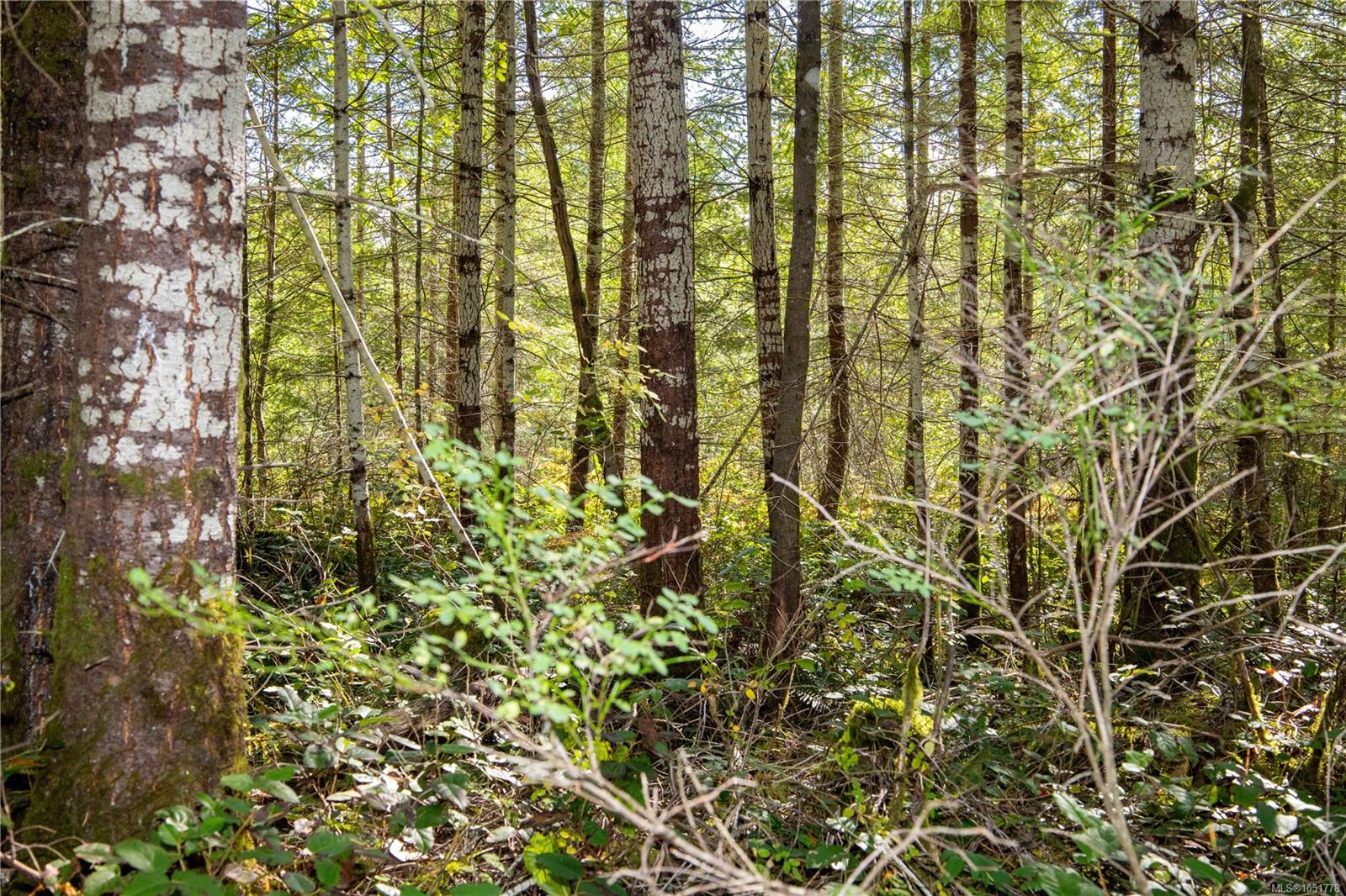 Chantrelle Way — listing photo 9 of 16
