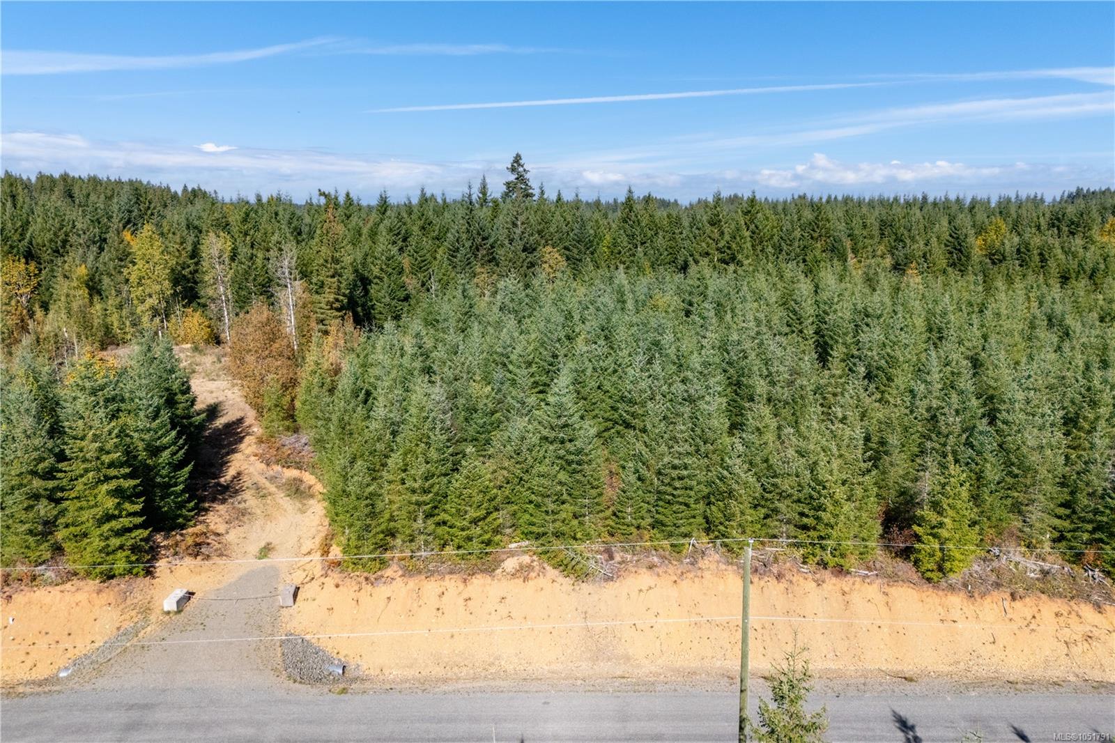 Chantrelle Way — listing photo 11 of 15