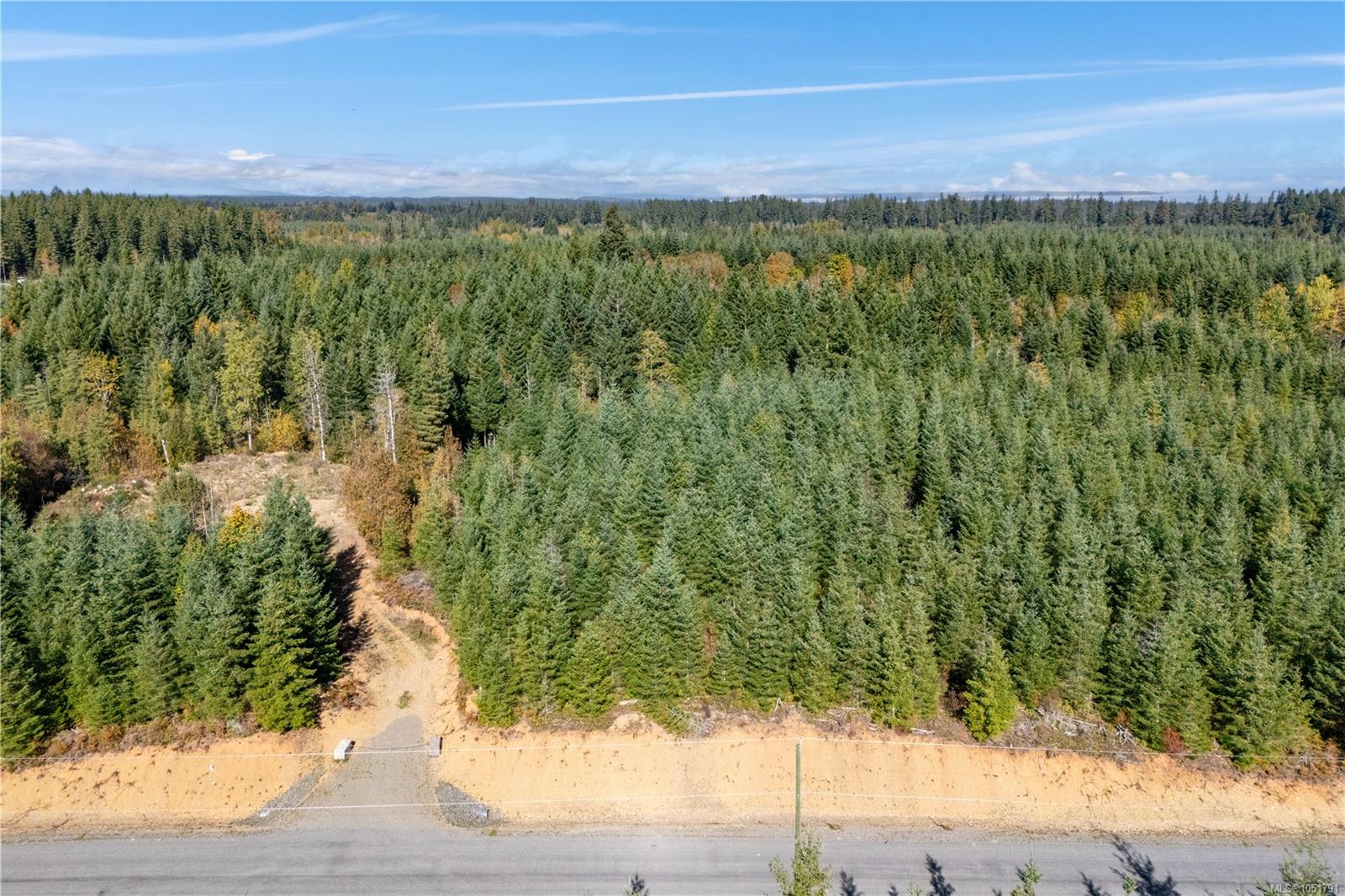 Chantrelle Way — listing photo 12 of 15