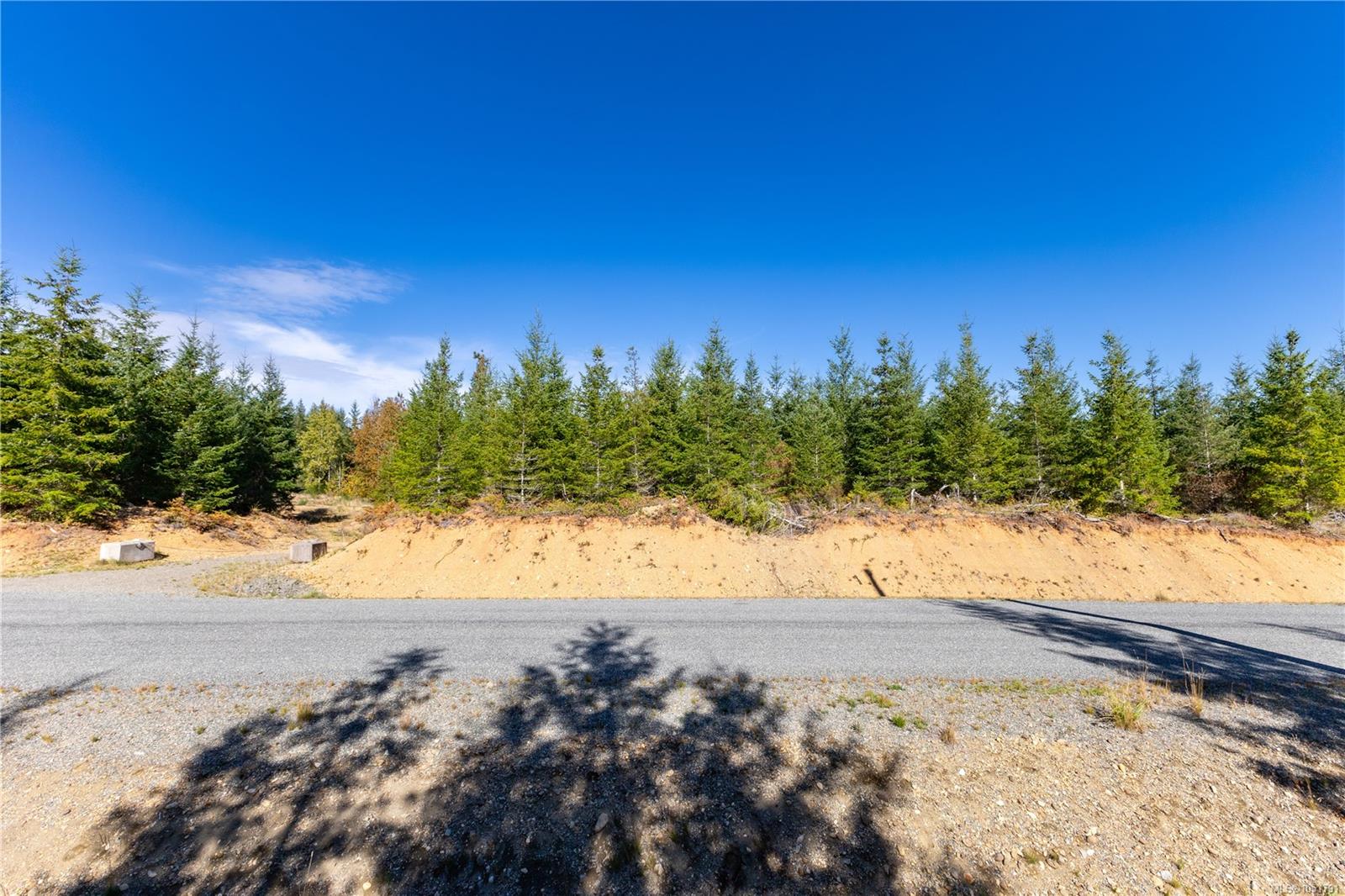 Chantrelle Way — listing photo 3 of 15