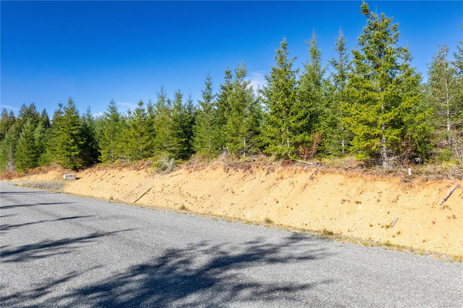Chantrelle Way — listing photo 4 of 15