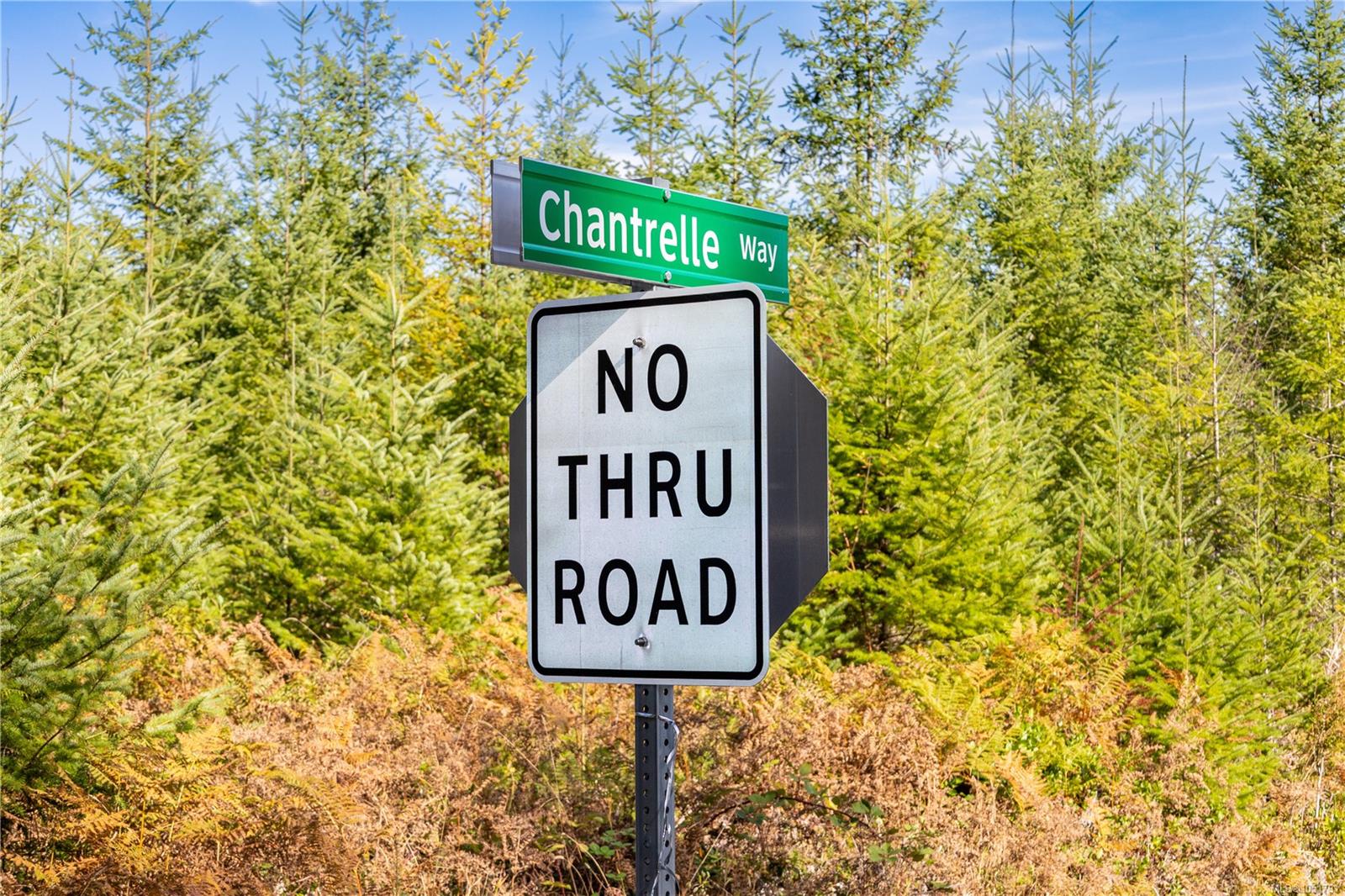 Chantrelle Way — listing photo 9 of 15