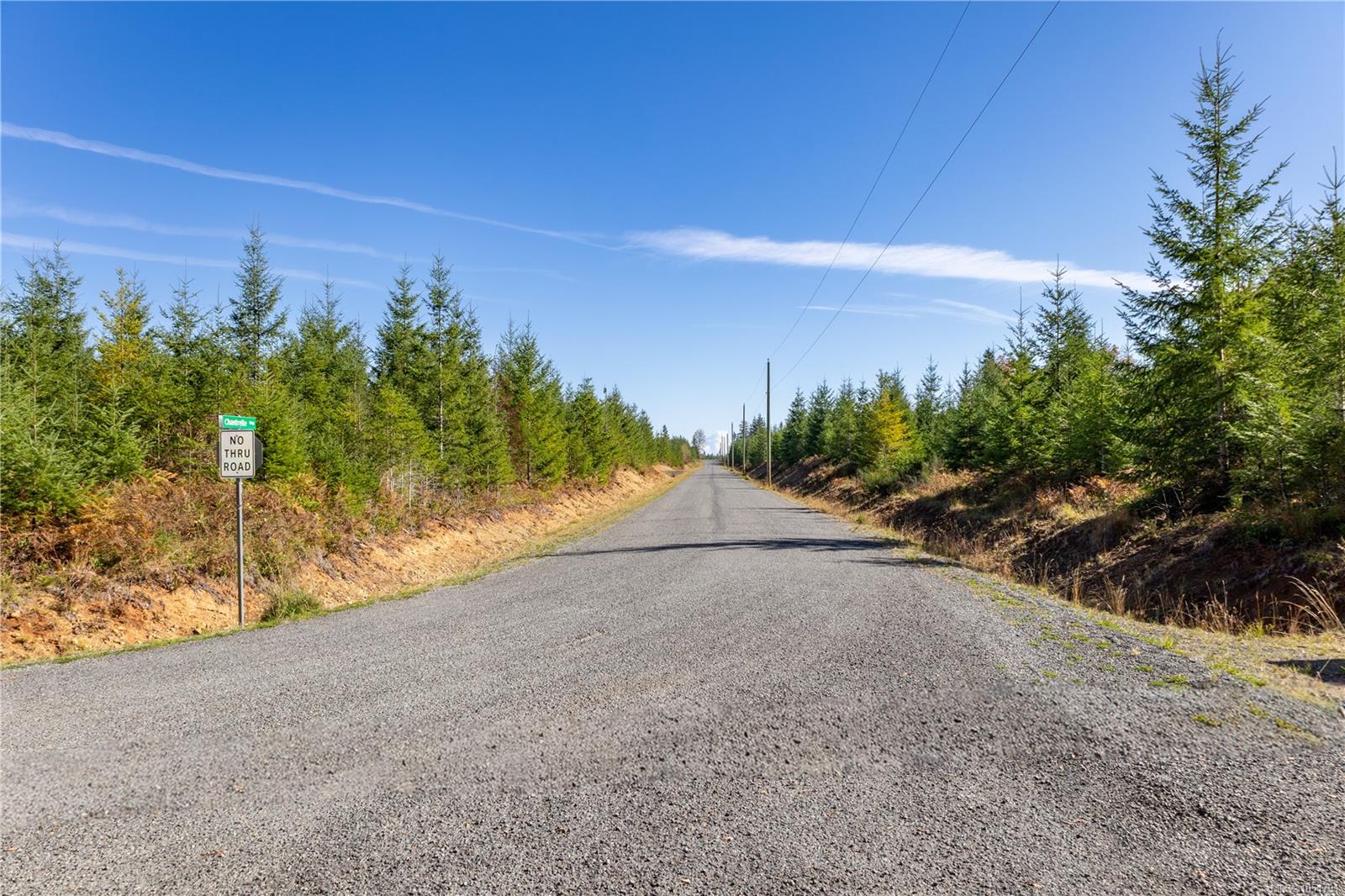 Chantrelle Way — listing photo 10 of 15