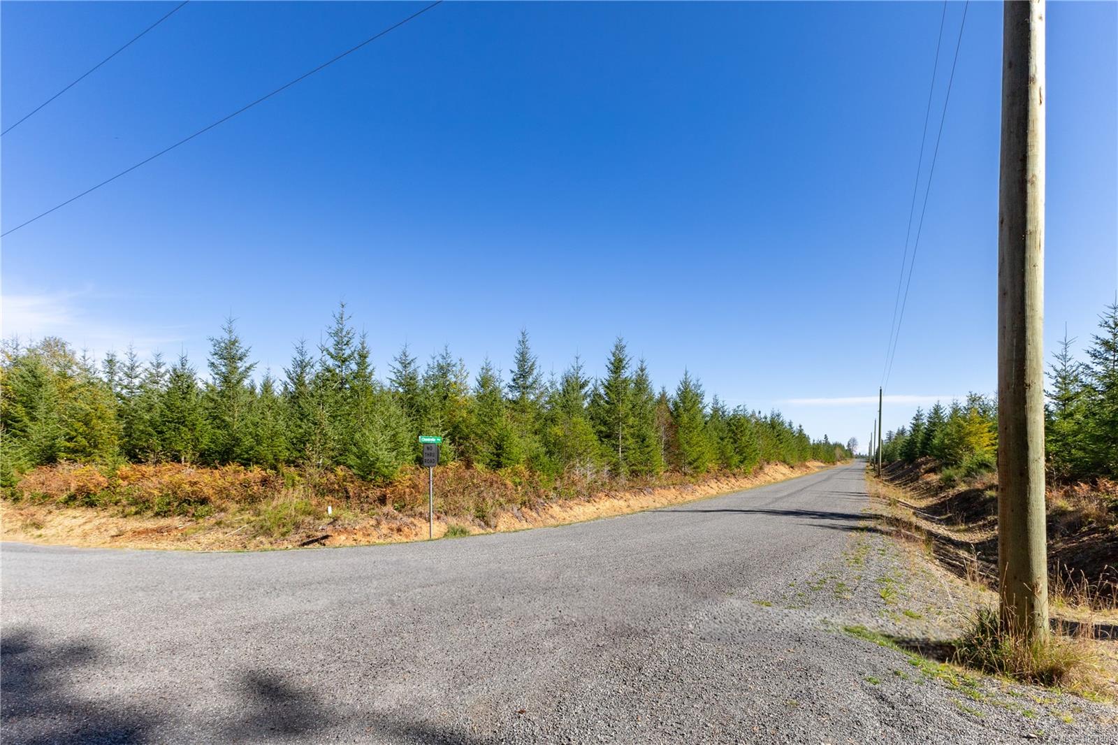 Chantrelle Way — listing photo 11 of 15