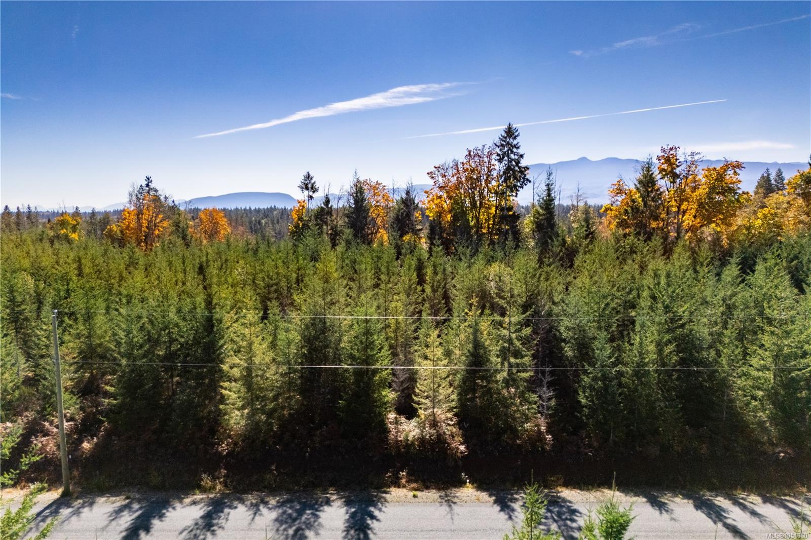 Chantrelle Way — listing photo 12 of 15