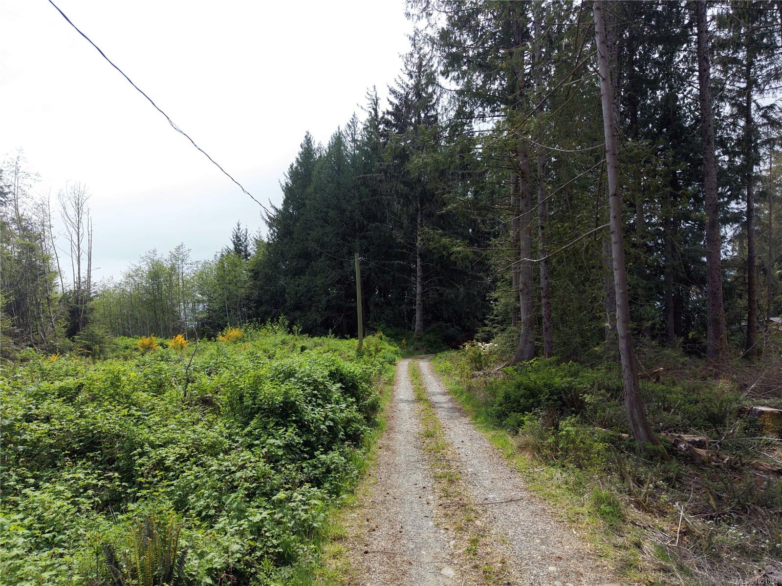 Photo 46