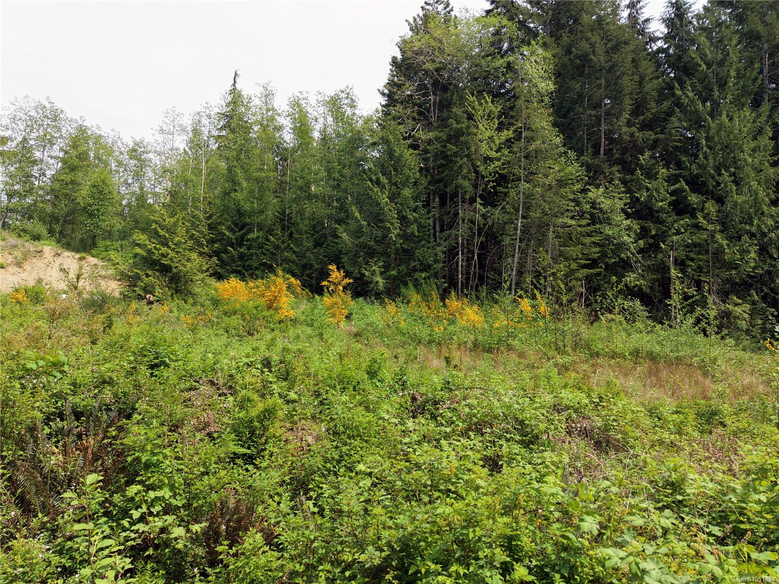 Photo 47