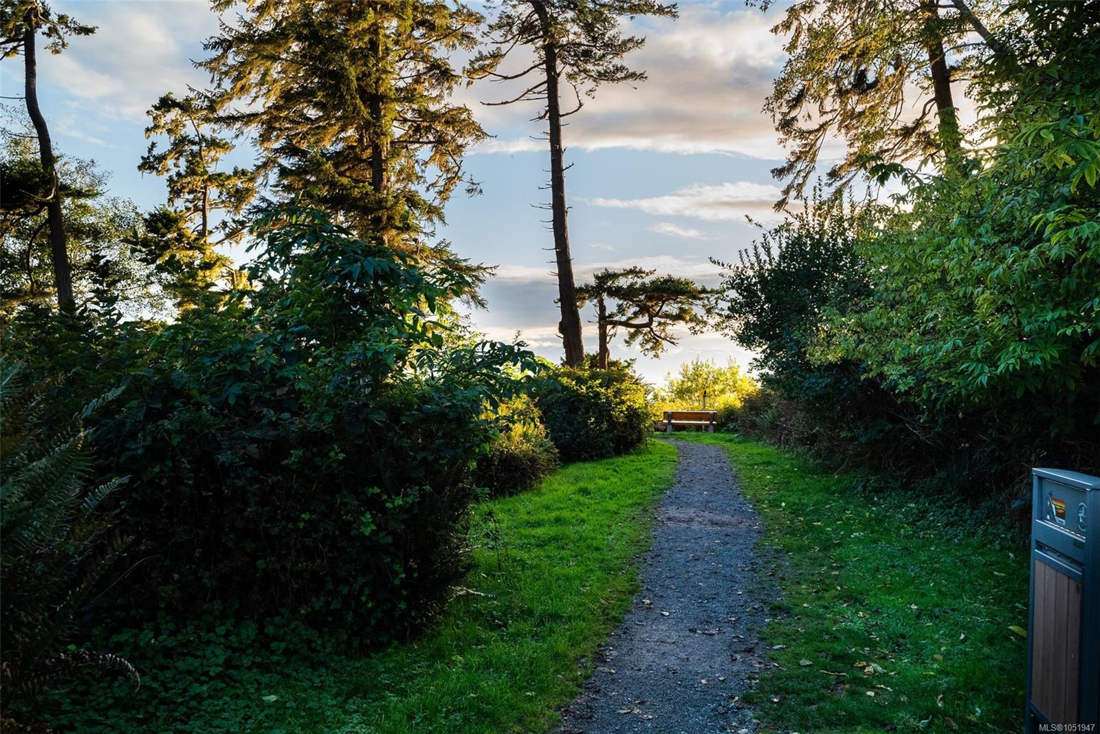 Photo 67