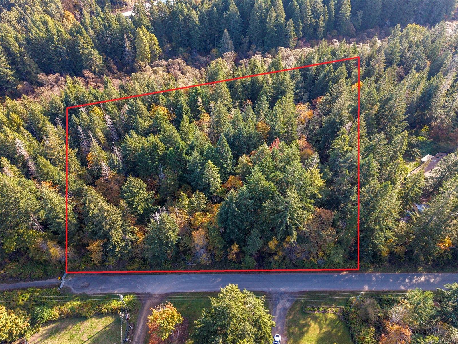 4 Morland Rd — listing photo 3 of 11