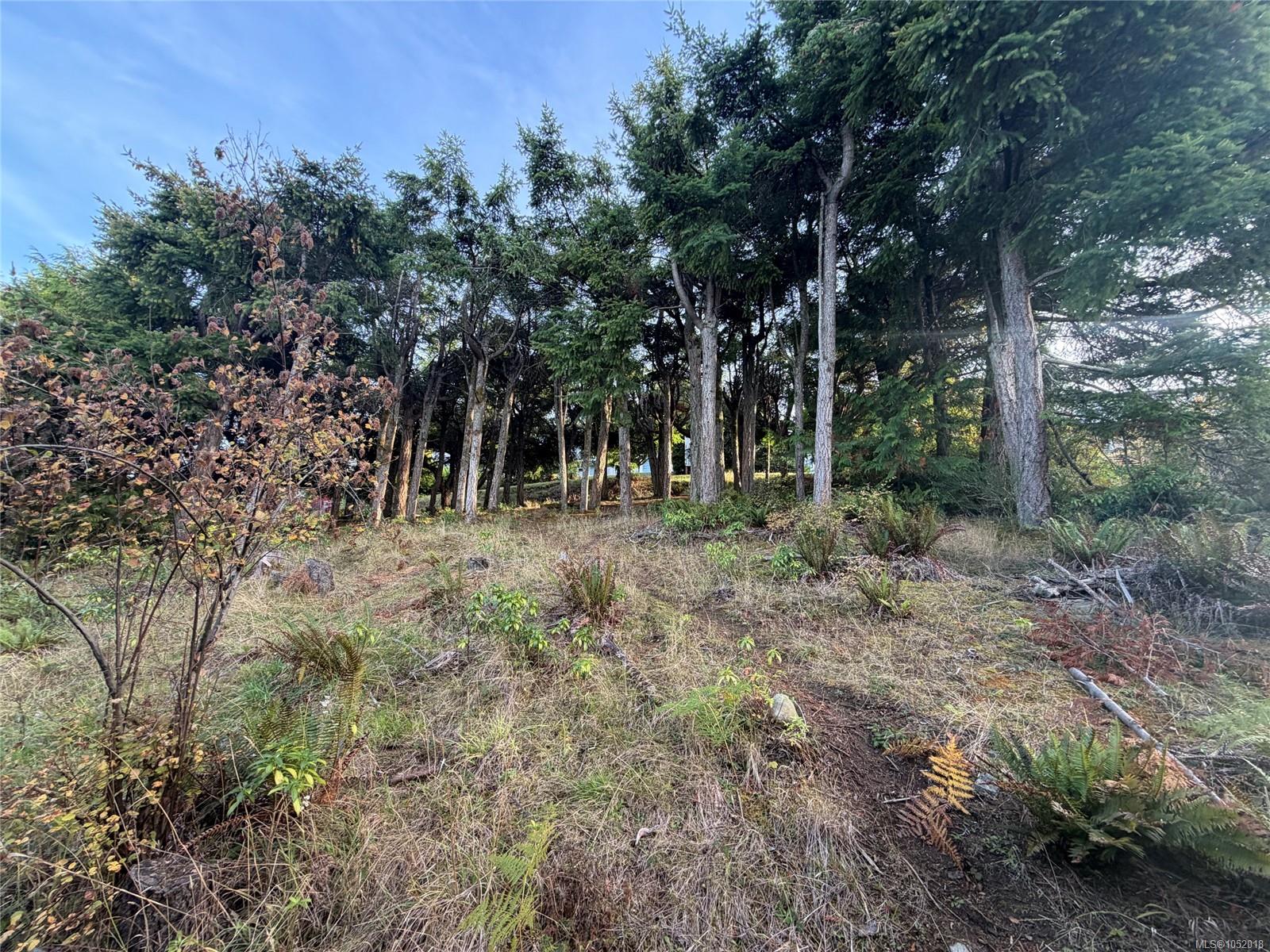 5323 Dewar Rd — listing photo 3 of 5