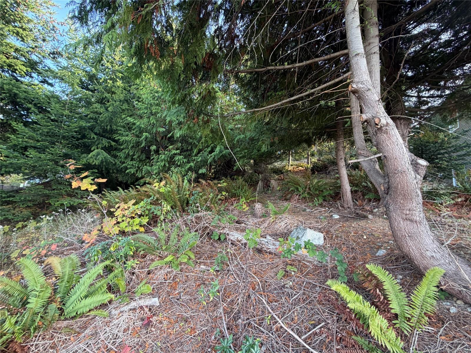 5323 Dewar Rd — listing photo 4 of 5