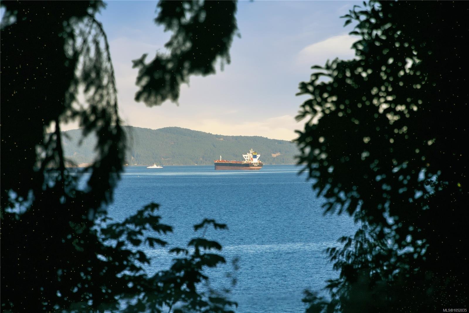 Photo 45