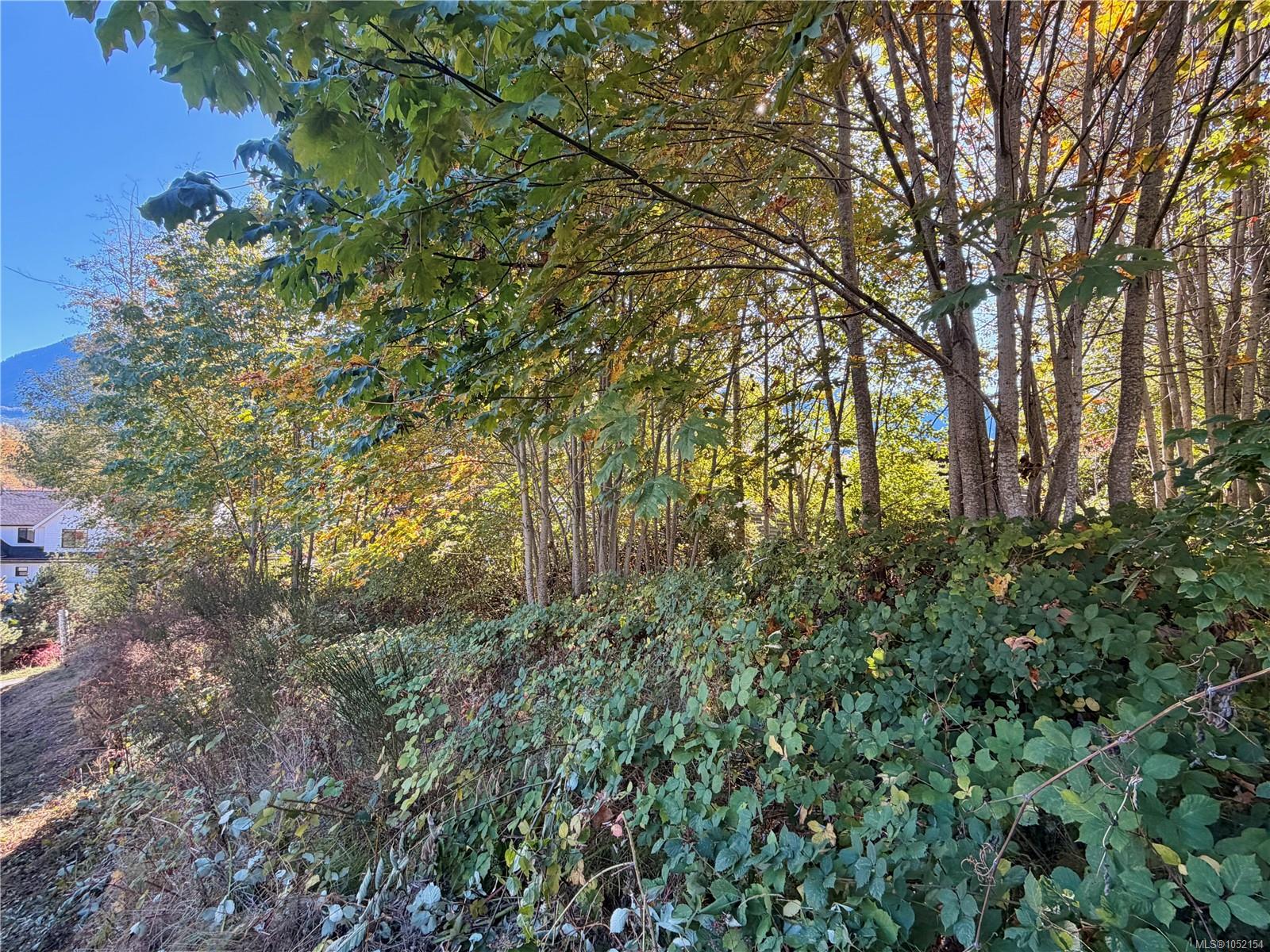 249 North Shore Rd — listing photo 12 of 12