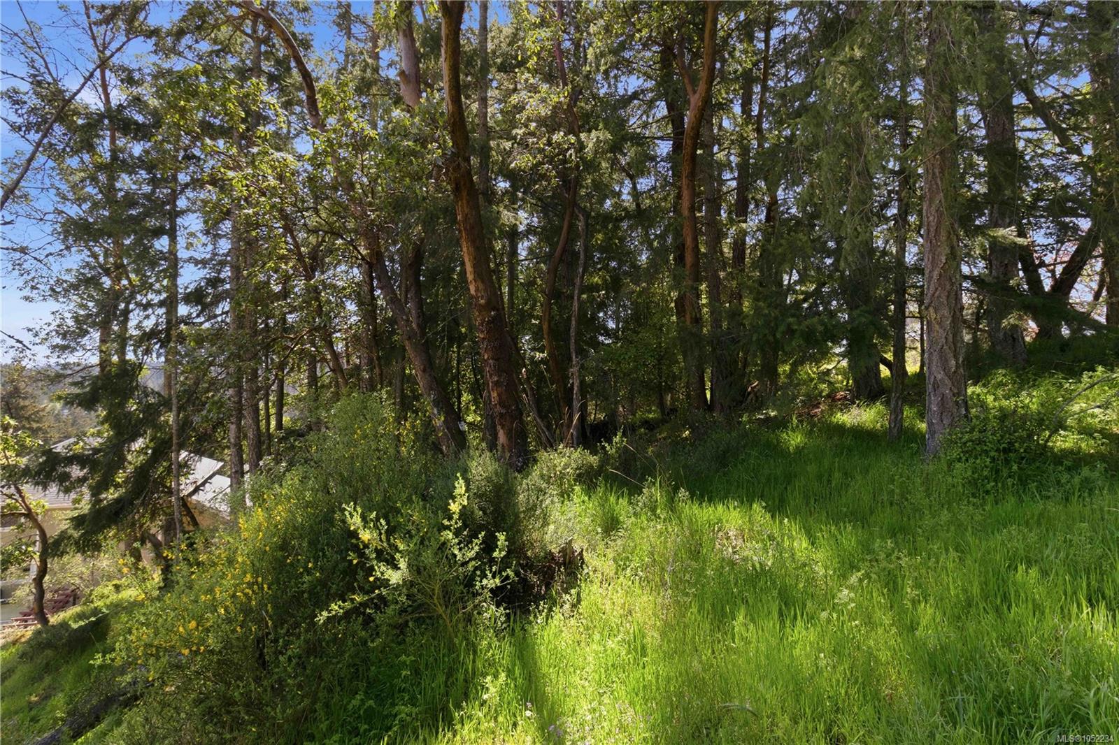 Photo 34