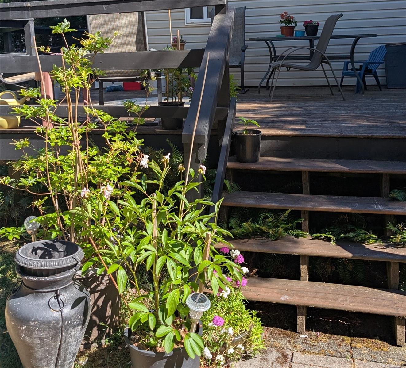 Photo 43