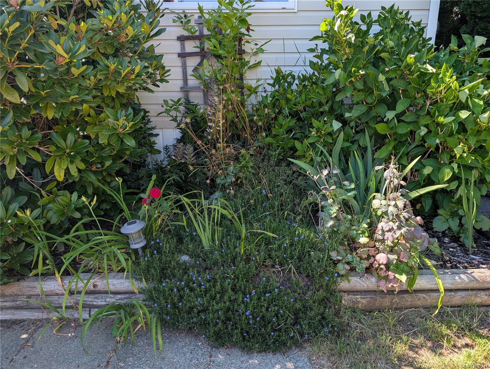 Photo 6