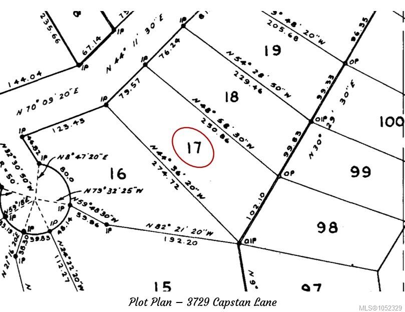 Photo 44