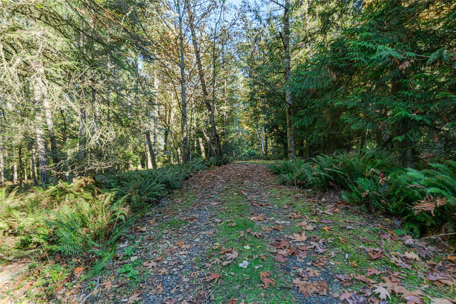 148 Meadow Dr — listing photo 13 of 25