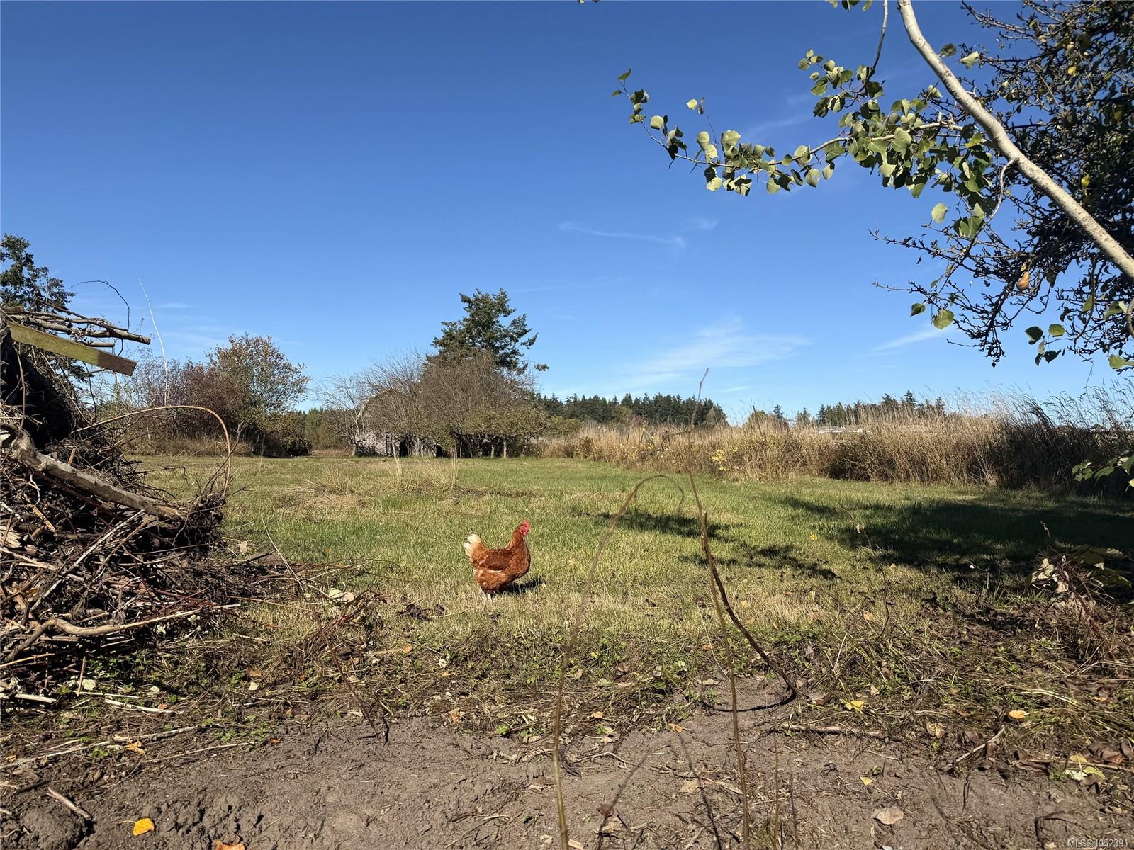 2766 Island View Rd — listing photo 4 of 32