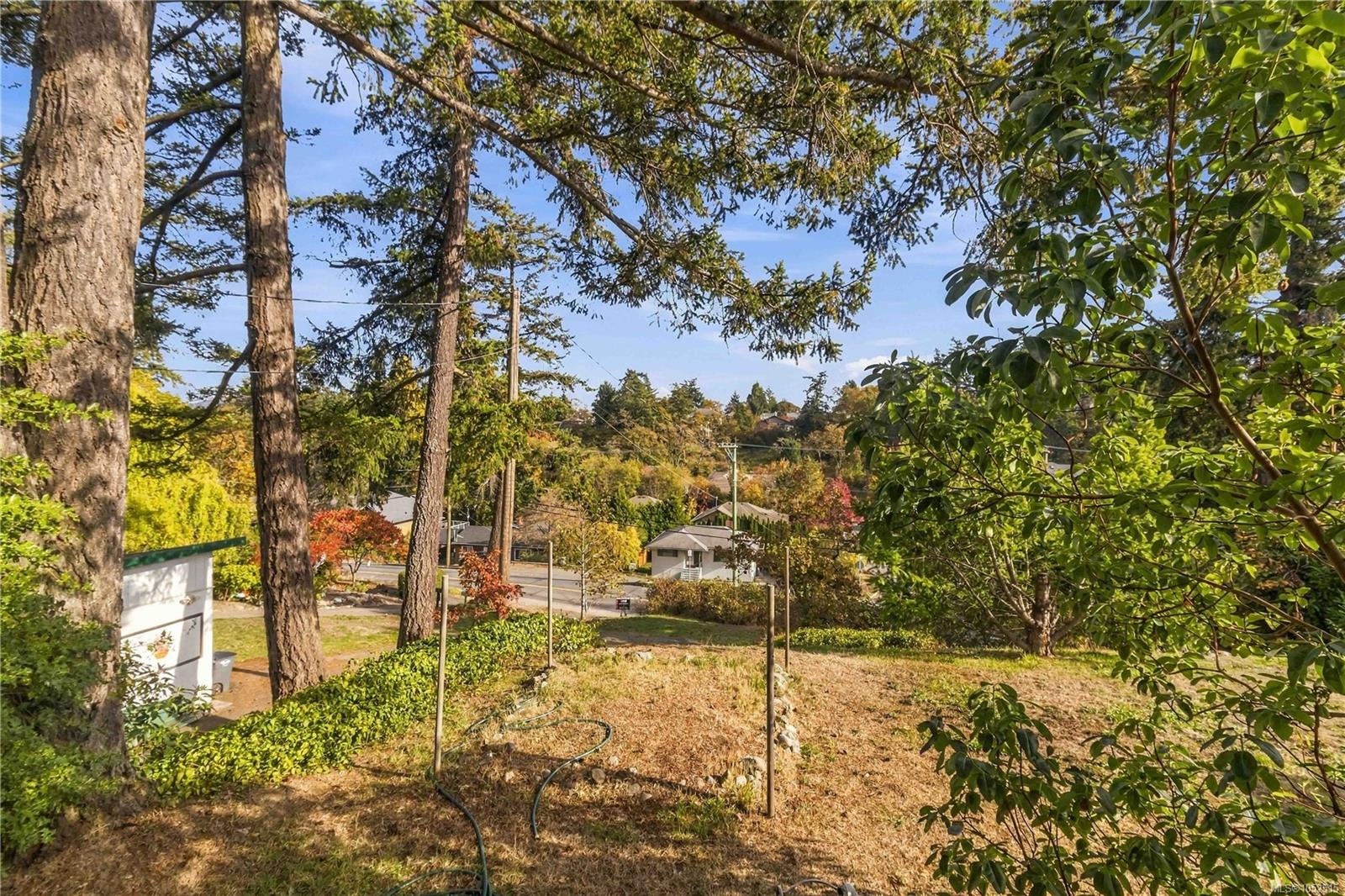 3904 Wilkinson Rd — listing photo 7 of 41