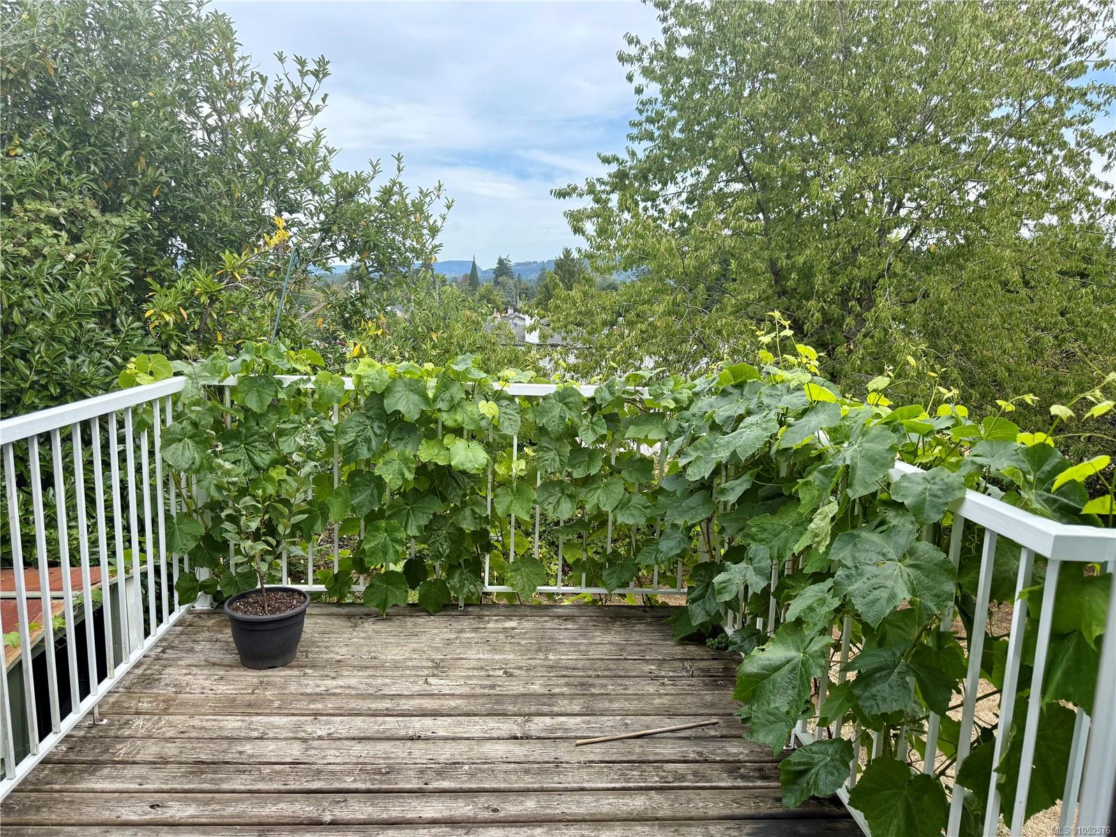 6185 Palahi Rd — listing photo 9 of 9