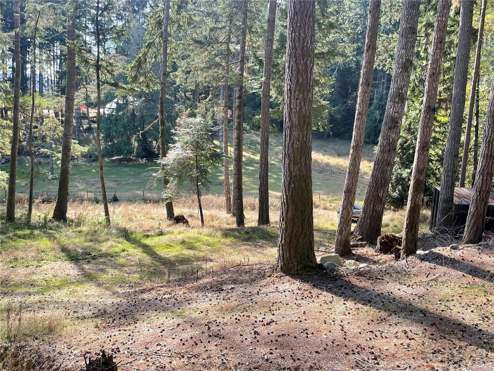 1376 Isabella Point Rd — listing photo 3 of 12