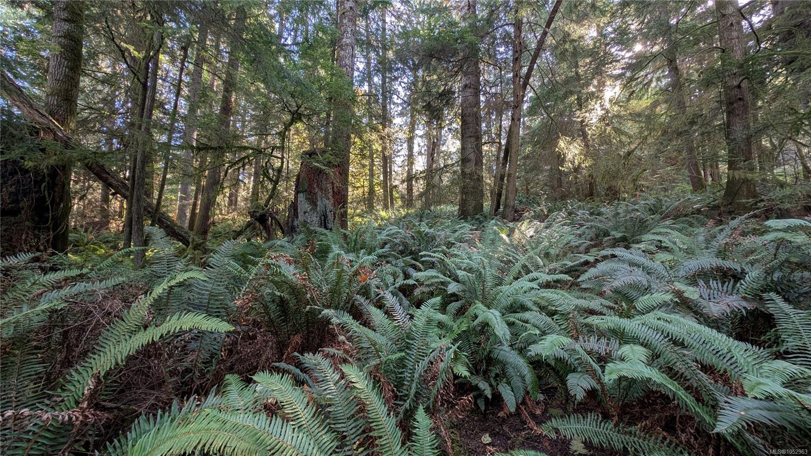 East Sooke Rd — listing photo 12 of 23