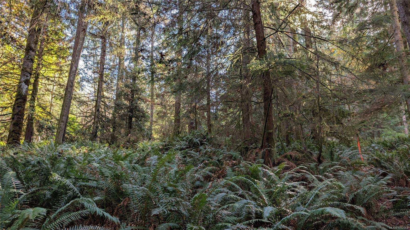 East Sooke Rd — listing photo 13 of 23