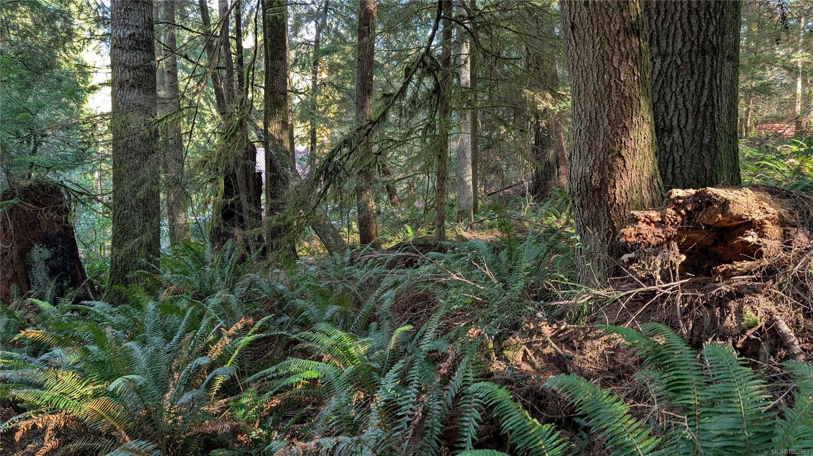 East Sooke Rd — listing photo 14 of 23