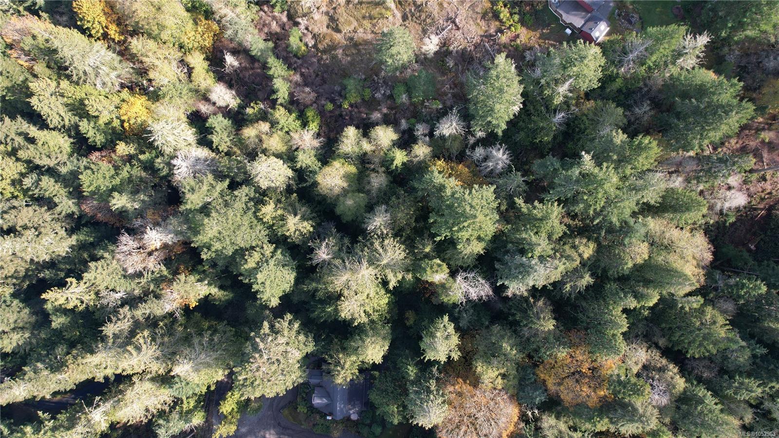 East Sooke Rd — listing photo 6 of 23