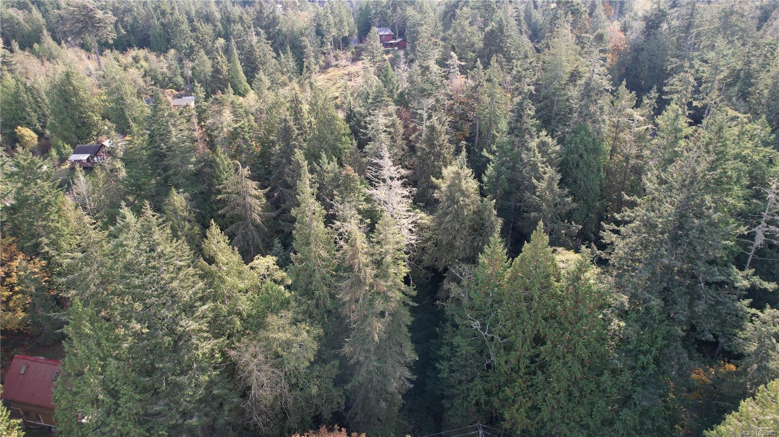 East Sooke Rd — listing photo 7 of 23
