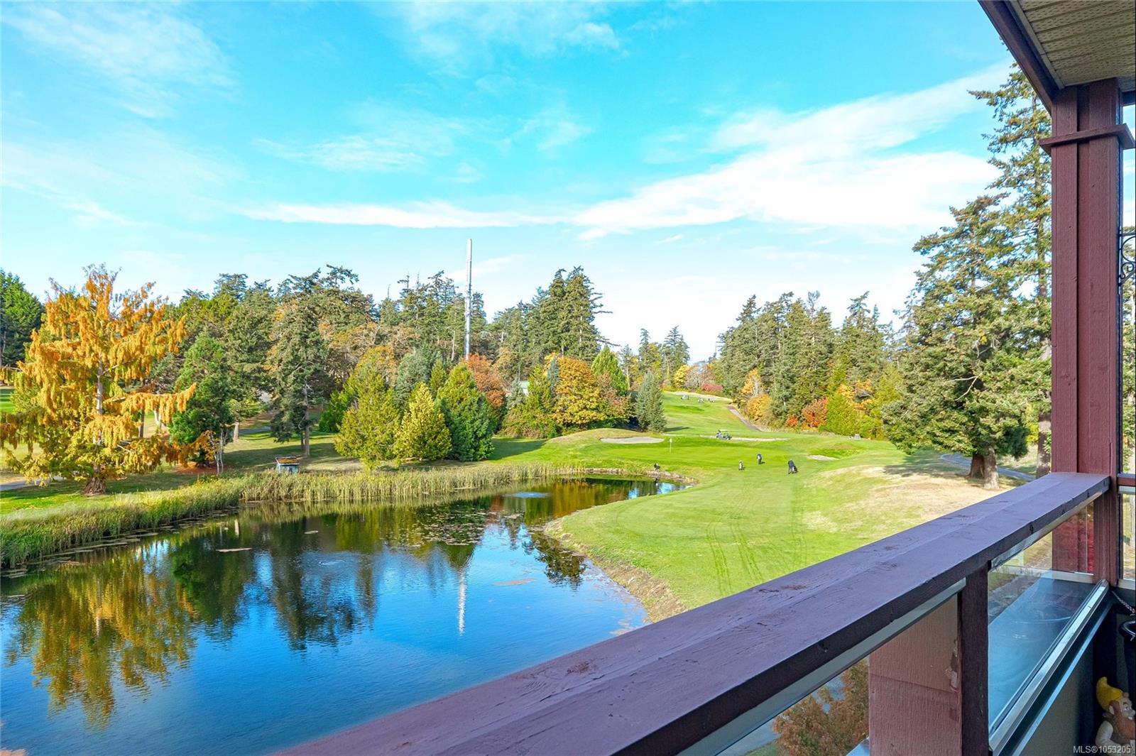 305E-1115 Craigflower Rd — listing photo 12 of 40